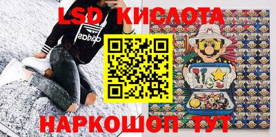 крисы Донской