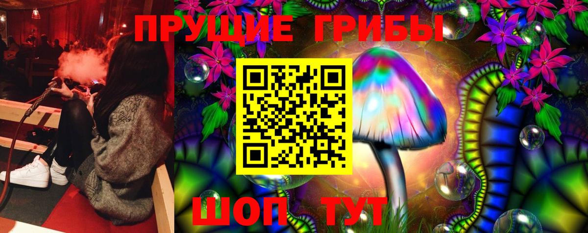 Псилоцибиновые грибы Cubensis Муравленко