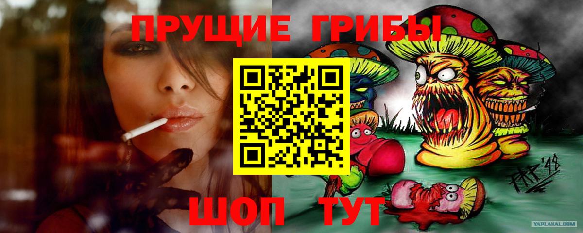 Муравленко  Галлюциногенные грибы мицелий  Галлюциногенные грибы Cubensis  Вход с VPN 